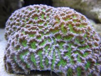 IMG_0523.JPG