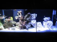 IMG_0558.JPG