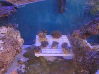IMG_5761.jpg
