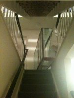 Picture 970.jpg