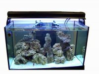 Deep Blue 57g Rimless.JPG