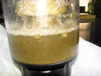 ER skimmer cup after 2 days 004.JPG