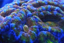 IMG_1656.JPG