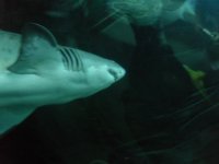 SDC12014.jpg