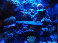 DSC00874.JPG