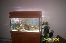 000_1089.JPG