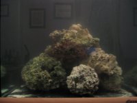 tank 015 small.jpg