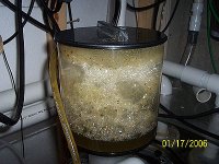 Gunk_3.jpg