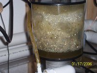 Gunk_2.jpg