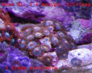 picture_03.jpg