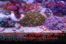 picture_02.jpg