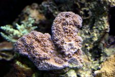 IMG_5988.JPG