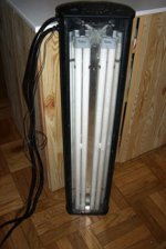 light1.jpg
