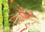marinedepotlive_1866_20316127.gif