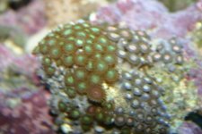 ZOOSSSSSS 019.jpg