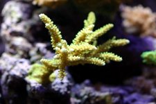IMG_5960.JPG