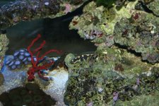 December 23 046 small.jpg