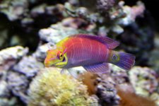 IMG_4928.JPG