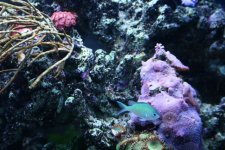 December 23rd 037 small.jpg