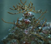 December 23rd 057 small.jpg