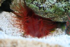 December 23rd 003 small.jpg