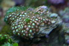 ZOOSSSSSS 009.jpg