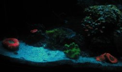 IMG_0812.JPG