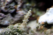 IMG_6031.JPG