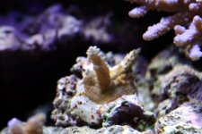 IMG_6030.JPG