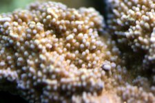 IMG_6036.JPG
