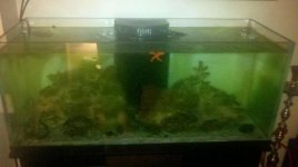 2011-03-08_23-17-34_483.jpg