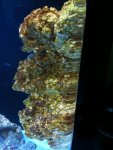 IMG_2611.jpg