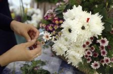 dog-flowers1.jpg