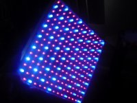 CIMG0799 (800x600).jpg