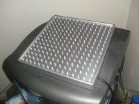 CIMG0804 (800x600).jpg