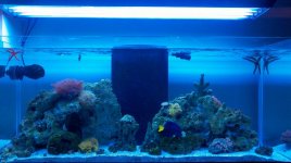 2011-03-10_17-36-42_356.jpg