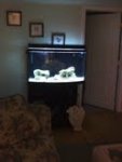 fish.jpg