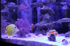 IMG_3565.jpg