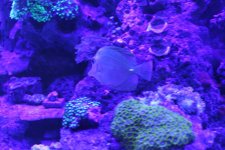 IMG_3587.jpg