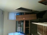 Picture 989.jpg