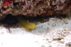 DSC_7443.jpg