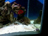 IMG00194-20100801-1358.jpg