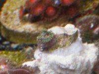 IMG_5849.jpg