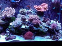 2010-05-27_13.43.16.jpg