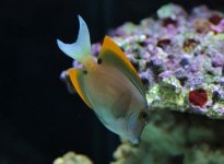 DSC_0516.jpg