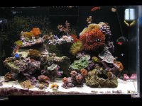 nano 9-29-09 326.jpg