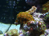 nano 9-29-09 998.jpg