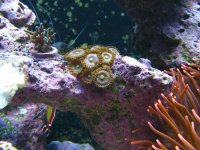 nano 9-29-09 996.jpg