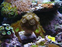 nano 9-29-09 995.jpg