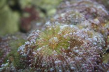 IMG_0926.JPG